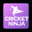 Cricket Ninja APK