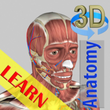 3D Bones and Organs (Anatomy) APK